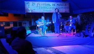Segundo festival de música tradicional colombiana