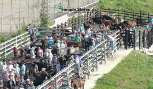 La feria de ganado, una tradición que reúne a varias generaciones.